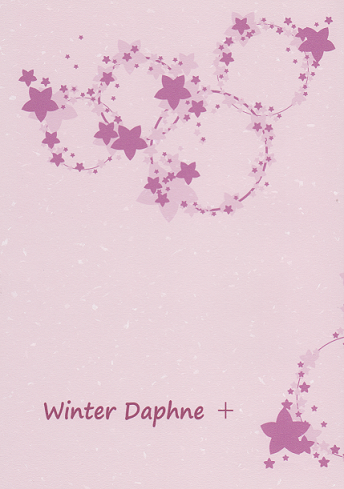 Winter Daphne{\